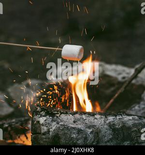 Persona che brucia marshmallows campo fuoco 2. Concetto di foto di alta qualità Foto Stock
