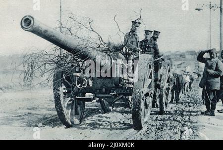 Guerra mondiale del 1st, 1915; pistola pesante spostata dai buoi per aiutare le forze serbe nella loro campagna austriaca; fotografia in bianco e nero Foto Stock