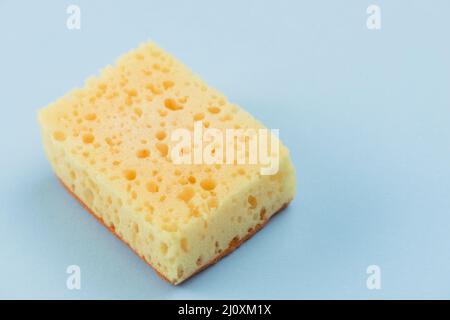 Spugna. Foto di alta qualità Foto Stock