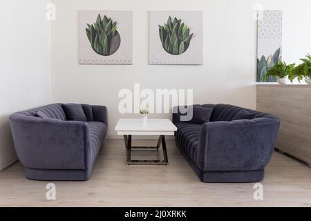 Minsk, Bielorussia - 15 dicembre 2021: Foto di due divani viola scuro, un tavolino da caffè, dipinti con fiori e piante verdi in ufficio. Interno in Foto Stock