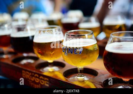 Degustazione di birra in uno dei vivaci bar nel centro storico di Bruxelles. Foto Stock