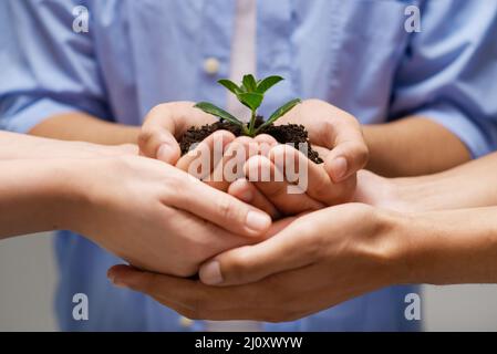 Prendersi cura del futuro insieme. Scatto ritagliato di persone che sostengono un mucchio di suolo con una pianta in erba. Foto Stock