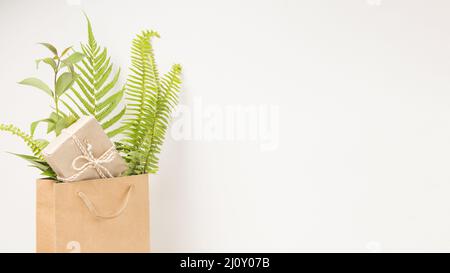 Confezione regalo verde felce foglie marrone sacchetto di carta con spazio testo. Foto di alta qualità Foto Stock