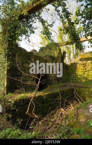 St Austell Tregargus China Stone Quarry & Mills Tregargus Valley vicino a St Stephen in Branne, Cornovaglia industriale passato Foto Stock