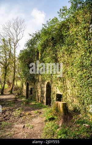 St Austell Tregargus China Stone Quarry & Mills Tregargus Valley vicino a St Stephen in Branne, Cornovaglia industriale passato Foto Stock