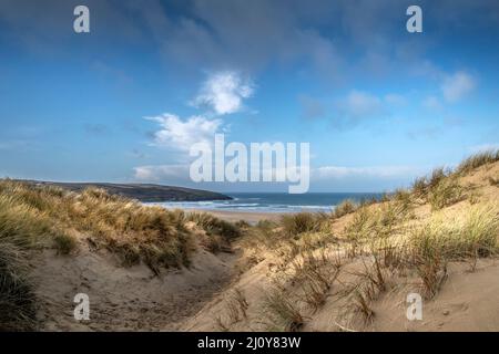 Luce dorata alla fine della giornata per gravi danni causati dall'attività umana al fragile sistema di dune di sabbia a Crantock Beach a Newquay Foto Stock