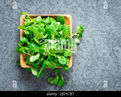 Ciotola di legno con foglie di insalata di mais, lattuga di agnello su sfondo di pietra grigia, vista dall'alto. Foto Stock