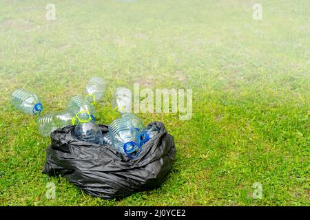 Le bottiglie di plastica in una plastica nera Borsa cestino su un sfondo di erba. Foto Stock