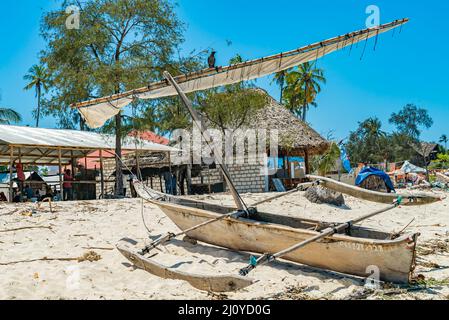 Corvo su un albero di barca di Fifhing Zanzibar Island, Tanzania Foto Stock