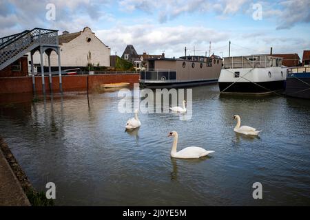 Inondazione sul lungomare a causa dell'alta marea primaverile Woodbridge Suffolk Inghilterra Foto Stock