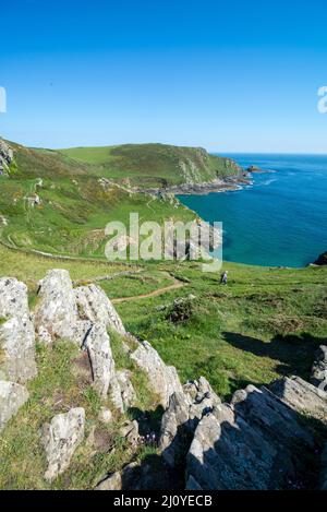 Regno Unito, Inghilterra, Devonshire. South West Coastal Path da Gammon dirigiti vicino a East Prawle. Foto Stock