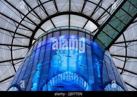 Aquarium all'interno del Radisson Hotel Sea Life a Berlino Foto Stock