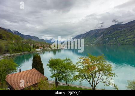 Vista panoramica del lago nel mezzo circondato dalle maestose Alpi svizzere in una giornata nuvolosa a Zurigo, Svizzera. Foto Stock