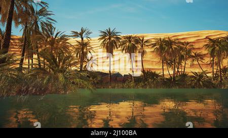 Oasi verde con laghetto nel deserto del Sahara Foto Stock