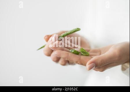 Primo piano aloe vera Foto Stock