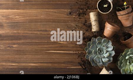 Spazio copia fiori vasi Foto Stock