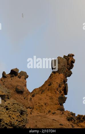 Scogliera rocciosa a Caleton Oscuro. Montana Clara. Riserva naturale integrale di Los Islotes. Isole Canarie. Spagna. Foto Stock