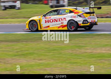 Cowes, Australia. 20th Mar 2022. Tony D'Alberto (#50 Honda Wall Racing Honda Civic Type R) durante la gara 2 della Supercheap Auto TCR Australia Series al Phillip Island Grand Prix Circuit. Credit: SOPA Images Limited/Alamy Live News Foto Stock