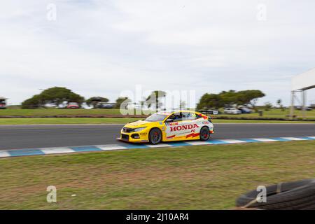 Tony D'Alberto (#50 Honda Wall Racing Honda Civic Type R) durante la gara 2 della Supercheap Auto TCR Australia Series al Phillip Island Grand Prix Circuit. (Foto di George Hitchens / SOPA Images/Sipa USA) Foto Stock