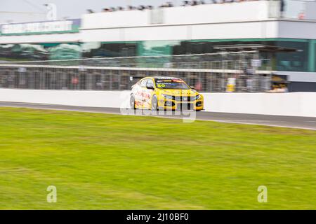 Cowes, Australia. 20th Mar 2022. Tony D'Alberto (#50 Honda Wall Racing Honda Civic Type R) durante la gara 3 della Supercheap Auto TCR Australia Series al Phillip Island Grant Prix Circuit. (Foto di George Hitchens/SOPA Images/Sipa USA) Credit: Sipa USA/Alamy Live News Foto Stock