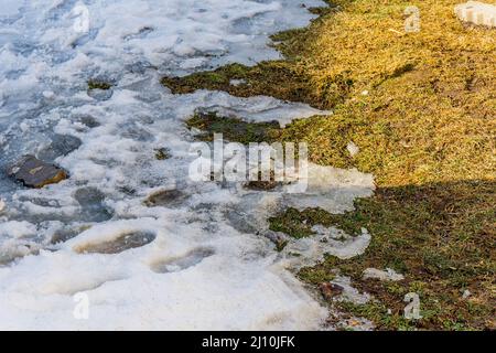 La neve si scioglie a terra rivelando l'erba sottostante che indica la fine dell'inverno Foto Stock