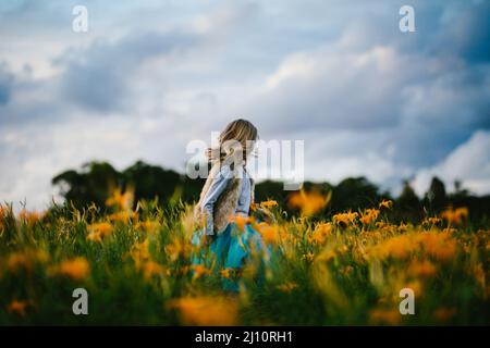 Ragazza con cielo blu e campi di fiori d'arancio Foto Stock