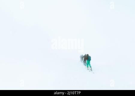 Vista panoramica di un gruppo di sciatori che camminano in un campo nevoso in una giornata di nebbia Foto Stock