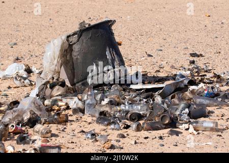 Cestino pile, Dumont Dunes Off-Highway Vehicle Recreation Area, Barstow Field Office Bureau of Land Management, California Foto Stock