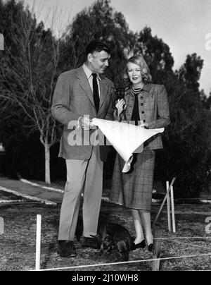 Newlyweds CLARK GABLE e la sua moglie SYLVIA ASHLEY nel 4th al Gable's Encino Ranch in California con il suo animale domestico Dachshund Dog ROVER e il suo animale domestico Manchester Terrier all'inizio del 1950 guardando i progetti per la loro nuova pubblicità Guest House per Metro Goldwyn Mayer Foto Stock