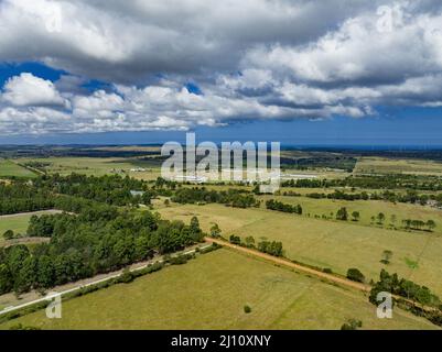 Vista del drone di pascolo terra durante l'estate Foto Stock