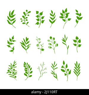Foglie, erbe, ramoscelli, silhouette verdi su sfondo bianco. Disegno a mano. Eco, simboli di primavera bio. Collezione di elementi clip art Illustrazione Vettoriale