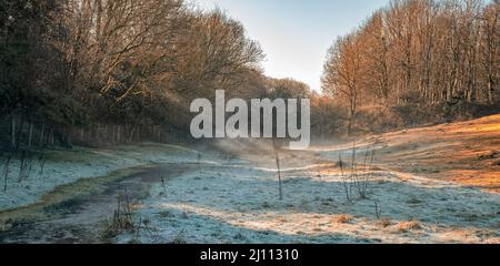 Una mattinata gelida e ruscello con luce del sole e raggi che brillavano attraverso gli alberi coperti nella nebbia di mattina d'inverno, Inghilterra, Cotswolds, Regno Unito Foto Stock