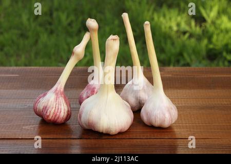 Grandi teste di aglio giovane su un tavolo di legno marrone. Primo piano. Foto Stock