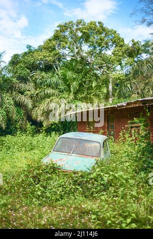 Relitto auto nella giungla cameroniana Foto Stock