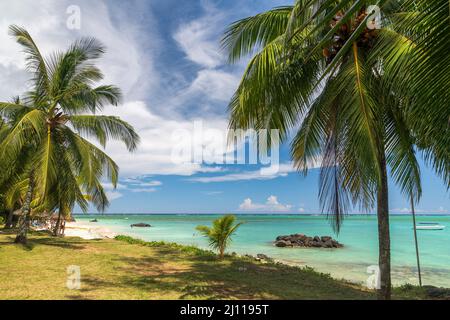 Mauritius, spiaggia di Trou aux Biches Foto Stock