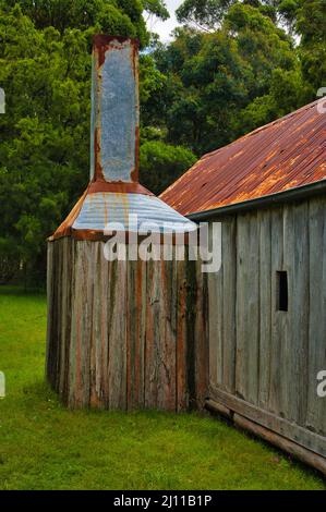 Camino di una tradizionale casa di pionieri in legno abbandonato nella foresta del Parco Nazionale di Bournda, nel sud-est del nuovo Galles del Sud, Australia Foto Stock