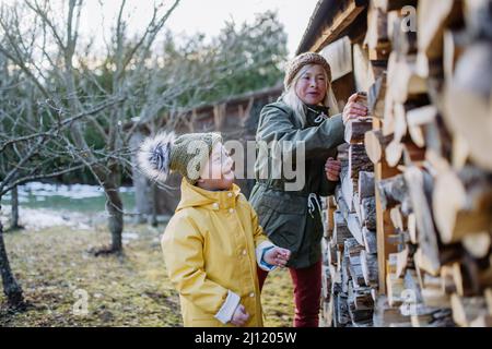 Ragazzo con sindrome di Down che lavora in giardino in inverno con la nonna. Foto Stock