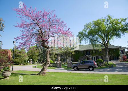 Edificio in stile gotico - York University Glendon Campus Foto Stock