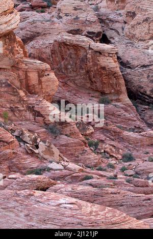 Affioramento di arenaria a Calico Hills, Red Rock Canyon National Conservation Area, Nevada Foto Stock