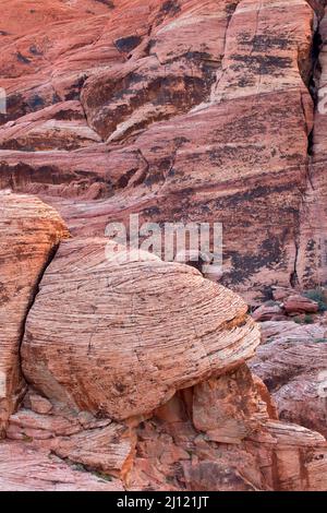 Affioramento di arenaria a Calico Hills, Red Rock Canyon National Conservation Area, Nevada Foto Stock