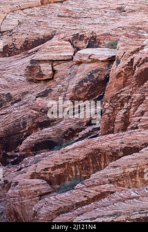 Affioramento di arenaria a Calico Hills, Red Rock Canyon National Conservation Area, Nevada Foto Stock