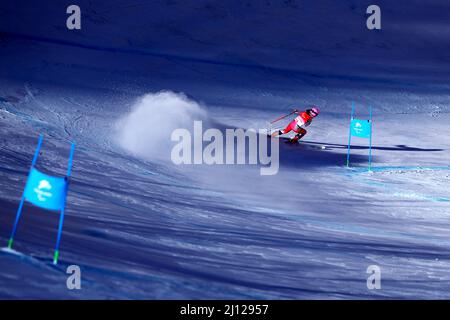 Pechino, Cina. 7th Mar 2022. L'atmosfera ha girato lo sci alpino : Super combined della Donna durante i Giochi Paralimpici invernali di Pechino 2022 al National Alpine Ski Center di Pechino, Cina . Credit: Naoki Nishimura/AFLO SPORT/Alamy Live News Foto Stock