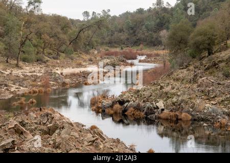 Erba secca lungo il fiume Cosumnes abbattuto dalle acque alluvionali Foto Stock