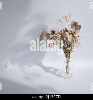 Bouquet di fiori secchi in vaso di vetro con ombra su sfondo blu chiaro neutro. Spazio di copia. Foto Stock