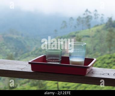 Degustazione di una bevanda calda allo zenzero, due bicchieri con vista sul giardino del tè su uno sfondo sfocato Foto Stock