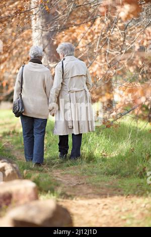 Fai una passeggiata pomeridiana. Vista posteriore di due donne anziane fuori per una passeggiata insieme. Foto Stock