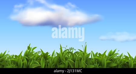 Paesaggio naturale realistico con erba fresca e cielo blu con nuvole. Fattoria verde primavera o campo di calcio, prato o prato erba vettore scena Illustrazione Vettoriale