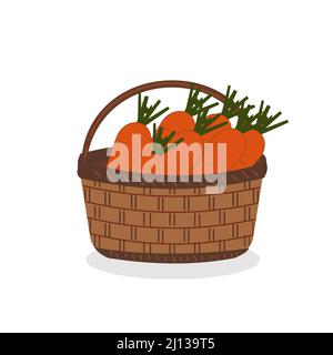 carote in un cestino di vimini colore isolato vettore illustrazione Illustrazione Vettoriale