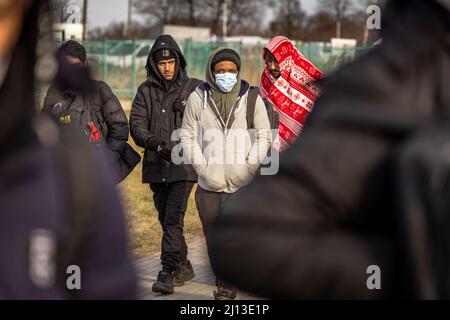 Arrivo dei rifugiati della PUC dall'Ucraina al valico di frontiera polacco-ucraino a Medyka. Le persone senza passaporto ucraino sono state trattate separatamente. In lunghe code e freddo amaro, hanno dovuto attendere giorni per entrare in Polonia. Sul lato polacco, tuttavia, il loro viaggio in avanti è stato ritardato da autobus verso grandi siti o rifugi collettivi. Foto Stock