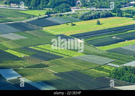 Vista aerea dei meleti con rete anti-grandine in estate in Valsugana o Val Sugana, nella pianura tra il Lago di Caldonazzo e il Lago di Levico. Foto Stock